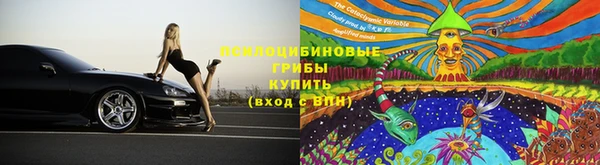 крисы Волоколамск