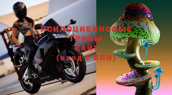 крисы Волоколамск