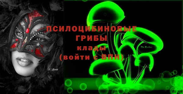 ПСИЛОЦИБИНОВЫЕ ГРИБЫ Володарск